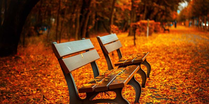 技术避坑指南：新手常犯的10个错误